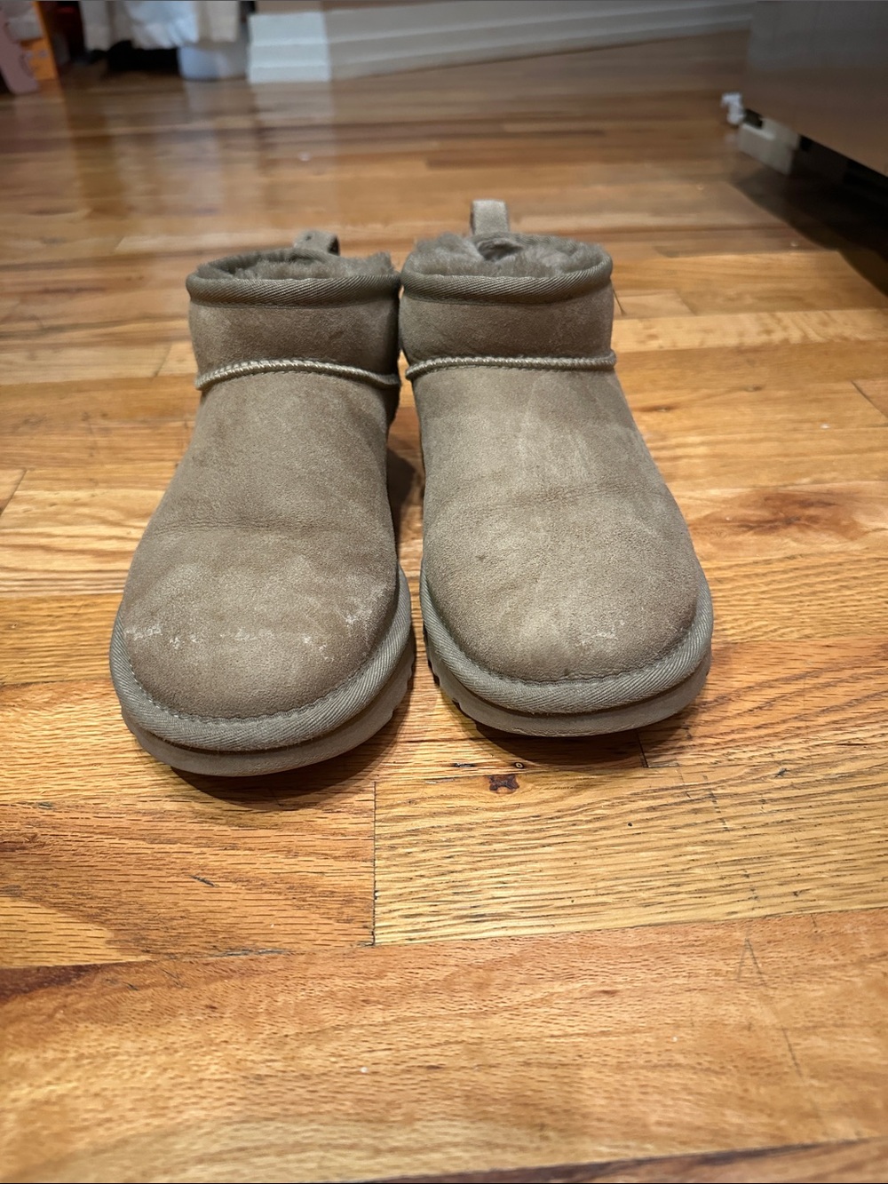 Caribou Ugg Classic Mini Boots